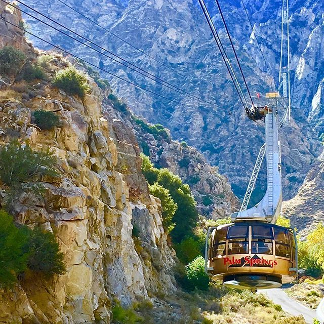 Winter Fun Atop The Palm Springs Aerial Tramway Resortime