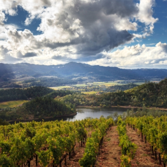 Hiking in Napa Valley